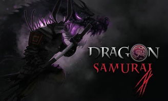 龙武士游戏,魔幻世界中的英雄征程(图3) 龙武士游戏,魔幻世界中的英雄征程(图3)