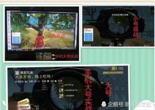 游戏主播吃鸡,揭秘游戏技巧与直播魅力(图2) 游戏主播吃鸡,揭秘游戏技巧与直播魅力(图2)