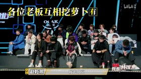 橙光游戏没有声音,橙光游戏无声音故障排查与解决指南(图2) 橙光游戏没有声音,橙光游戏无声音故障排查与解决指南(图2)