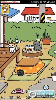 关于养猫的游戏,猫咪养成游戏之旅(图2) 关于养猫的游戏,猫咪养成游戏之旅(图2)