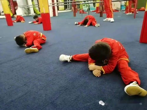 武术课小游戏,创意小游戏助力技能提升与团队协作(图3) 武术课小游戏,创意小游戏助力技能提升与团队协作(图3)