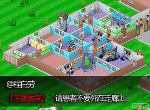 医院单机游戏,揭秘医院单机游戏深度体验(图2) 医院单机游戏,揭秘医院单机游戏深度体验(图2)