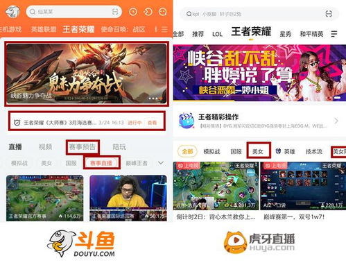 斗鱼直播游戏怎么弄的,轻松开启你的游戏直播之旅(图3) 斗鱼直播游戏怎么弄的,轻松开启你的游戏直播之旅(图3)