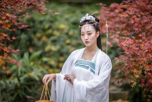 游戏名青衫,探寻仙侠世界的奇幻旅程(图3) 游戏名青衫,探寻仙侠世界的奇幻旅程(图3)