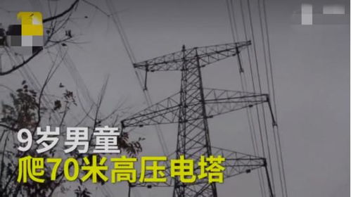 游戏高压电,揭秘隐藏物件游戏中的惊险解谜之旅(图3) 游戏高压电,揭秘隐藏物件游戏中的惊险解谜之旅(图3)