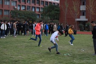 拓展翻牌游戏,拓展翻牌游戏的趣味体验(图1) 拓展翻牌游戏,拓展翻牌游戏的趣味体验(图1)