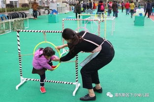 幼儿园游戏赶小猪,赶小猪欢乐时光(图3) 幼儿园游戏赶小猪,赶小猪欢乐时光(图3)