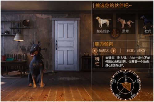 看家狗游戏,收获快乐(图3) 看家狗游戏,收获快乐(图3)