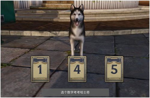 看家狗游戏,收获快乐(图2) 看家狗游戏,收获快乐(图2)