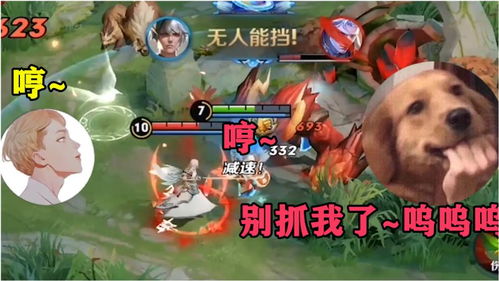 狗队长游戏,狗粮队长角色解析与实战技巧(图1) 狗队长游戏,狗粮队长角色解析与实战技巧(图1)