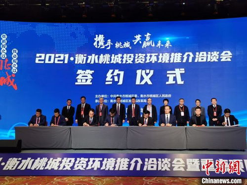 河北游戏公司,人才培养与产业融合的典范(图1) 河北游戏公司,人才培养与产业融合的典范(图1)