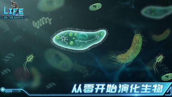 生命不是游戏,告别游戏化人生(图3) 生命不是游戏,告别游戏化人生(图3)