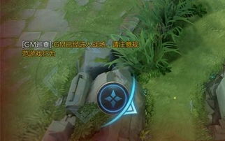 游戏gm工作,虚拟世界中的守护者与创造者(图1) 游戏gm工作,虚拟世界中的守护者与创造者(图1)