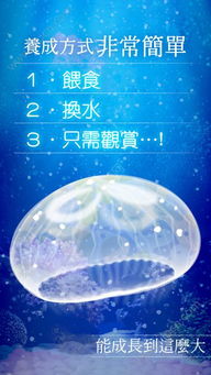 海蜇养成游戏,轻松养成你的专属海蜇伴侣(图2) 海蜇养成游戏,轻松养成你的专属海蜇伴侣(图2)