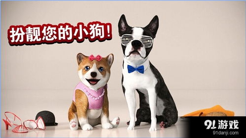 汉特狗游戏,揭秘神秘庄园的惊险冒险之旅(图2) 汉特狗游戏,揭秘神秘庄园的惊险冒险之旅(图2)