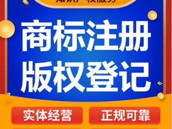 游戏版权代理,揭秘版权保护与商业合作的奥秘(图2)
