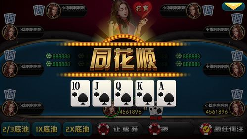 在线德州扑克游戏,策略竞技与社交互动的完美融合(图3) 在线德州扑克游戏,策略竞技与社交互动的完美融合(图3)