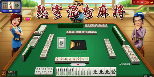 摸麻将游戏,从新手到高手的进阶之路(图2)