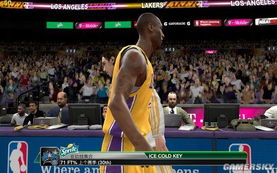 nba游戏下载2013中文版,体验篮球盛宴(图3)