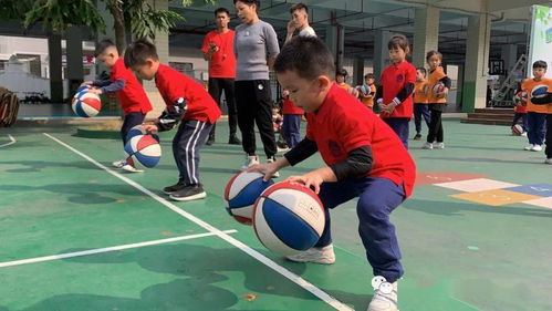 集体篮球游戏,集体游戏的欢乐与成长之旅”(图1) 集体篮球游戏,集体游戏的欢乐与成长之旅”(图1)