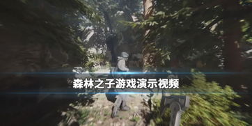 森林游戏视频解说全集,The Forest游戏全剧情视频解说集锦(图1) 森林游戏视频解说全集,The Forest游戏全剧情视频解说集锦(图1)