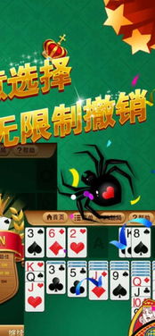 蜘蛛牌游戏官方下载(图3) 蜘蛛牌游戏官方下载(图3)