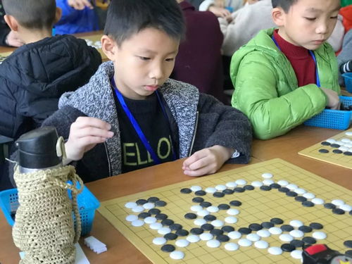 围棋类游戏,围棋——策略与艺术的完美融合(图2) 围棋类游戏,围棋——策略与艺术的完美融合(图2)