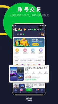 蜜蜂飞舞 (图2)