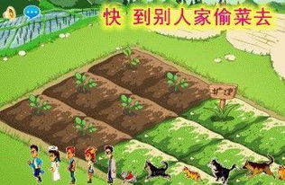 偷菜游戏免费下载,体验农场乐趣!(图1) 偷菜游戏免费下载,体验农场乐趣!(图1)