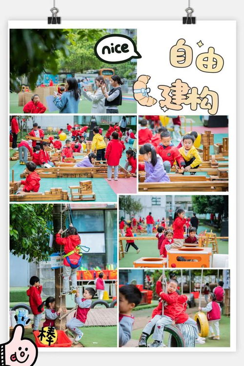 幼儿园生态游戏,幼儿园自然教育的新路径(图2) 幼儿园生态游戏,幼儿园自然教育的新路径(图2)