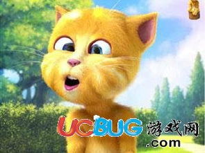 金杰的生日游戏,一场创意无限的欢乐游戏盛宴(图3) 金杰的生日游戏,一场创意无限的欢乐游戏盛宴(图3)