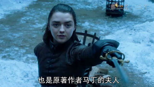 权力的游戏刺客,神秘、冷酷与复仇的化身(图1) 权力的游戏刺客,神秘、冷酷与复仇的化身(图1)