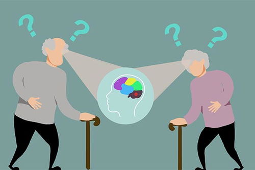 防老年痴呆游戏,探索脑力锻炼新途径”(图2) 防老年痴呆游戏,探索脑力锻炼新途径”(图2)