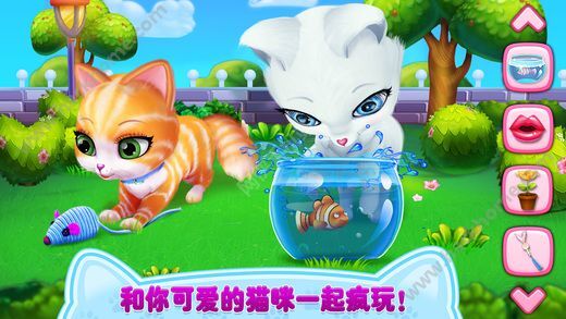 h小猫游戏(图2) h小猫游戏(图2)