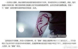 班级里的死亡游戏(图3)