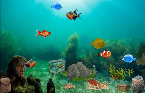 海底探宝游戏,海底探宝游戏体验记”(图3)