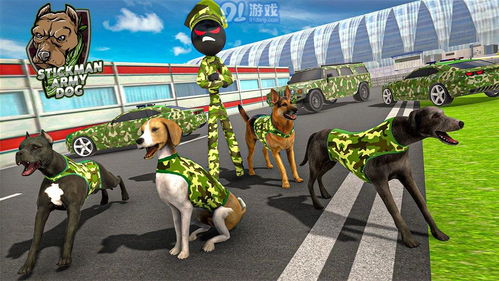 军犬的游戏,游戏中的忠诚伙伴与战斗奇兵(图1) 军犬的游戏,游戏中的忠诚伙伴与战斗奇兵(图1)