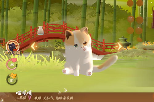 猫咪游戏戏,探索毛孩子们的趣味世界(图2) 猫咪游戏戏,探索毛孩子们的趣味世界(图2)