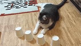猜酒杯游戏,揭秘隔空识杯的神奇魔术(图2) 猜酒杯游戏,揭秘隔空识杯的神奇魔术(图2)
