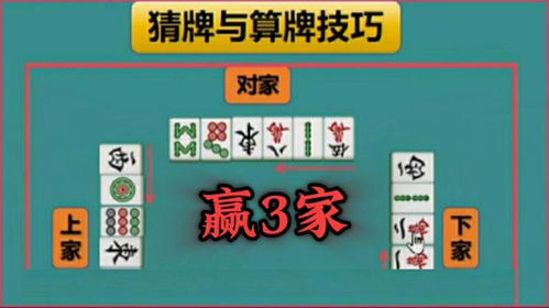 麻将猜牌游戏,掌控牌局(图3) 麻将猜牌游戏,掌控牌局(图3)