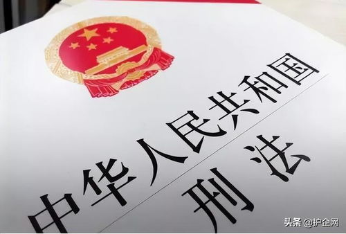 法律文字游戏(图3) 法律文字游戏(图3)