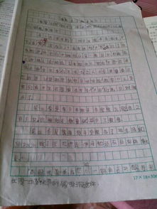 描写游戏的作文300字(图1) 描写游戏的作文300字(图1)