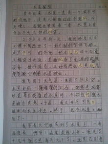 描写游戏的作文300字(图3) 描写游戏的作文300字(图3)