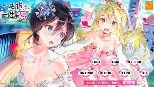 pc百合游戏,PC百合游戏精选回顾(图1) pc百合游戏,PC百合游戏精选回顾(图1)