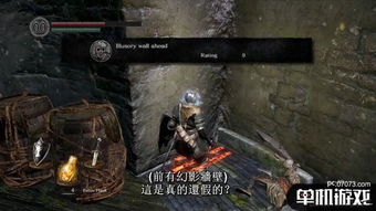 单机游戏驴,探寻奇幻世界的冒险之旅(图3) 单机游戏驴,探寻奇幻世界的冒险之旅(图3)