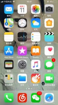 小桃的纠结安卓游戏 (图3) 小桃的纠结安卓游戏 (图3)
