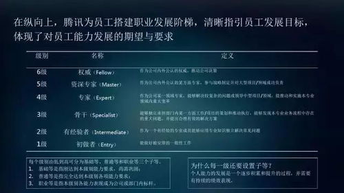 游戏公司hr,揭秘人才选拔与培养之道(图1)