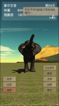大象手机游戏,挑战极限的冒险之旅(图3) 大象手机游戏,挑战极限的冒险之旅(图3)