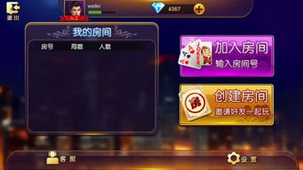 赖子游戏金币,揭秘虚拟世界的财富传奇(图1) 赖子游戏金币,揭秘虚拟世界的财富传奇(图1)