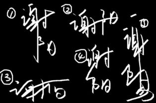 阳字游戏名,探寻阳光下的文字奥秘(图2) 阳字游戏名,探寻阳光下的文字奥秘(图2)